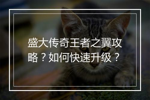 盛大传奇王者之翼攻略？如何快速升级？