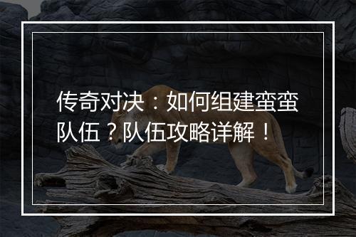 传奇对决：如何组建蛮蛮队伍？队伍攻略详解！