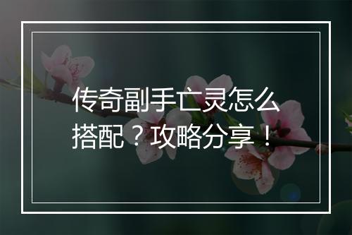 传奇副手亡灵怎么搭配？攻略分享！