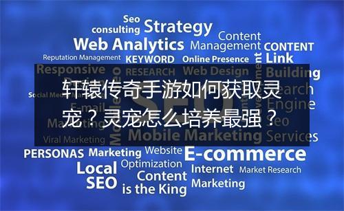 轩辕传奇手游如何获取灵宠？灵宠怎么培养最强？