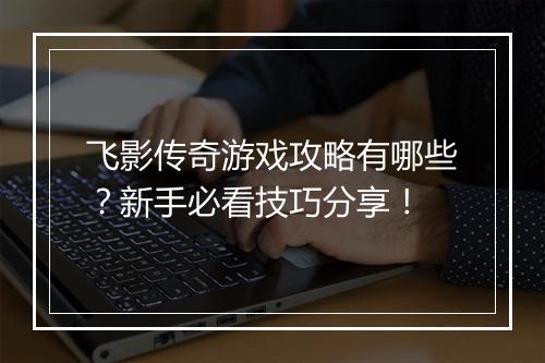 飞影传奇游戏攻略有哪些？新手必看技巧分享！