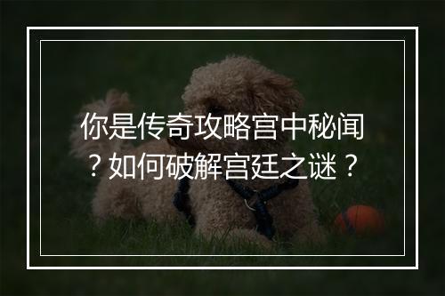你是传奇攻略宫中秘闻？如何破解宫廷之谜？