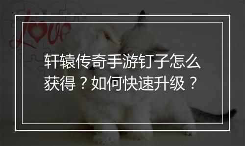 轩辕传奇手游钉子怎么获得？如何快速升级？