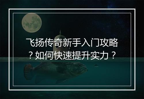 飞扬传奇新手入门攻略？如何快速提升实力？
