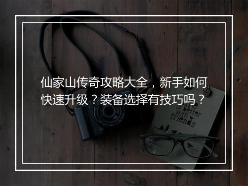 仙家山传奇攻略大全，新手如何快速升级？装备选择有技巧吗？