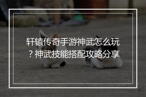 轩辕传奇手游神武怎么玩？神武技能搭配攻略分享