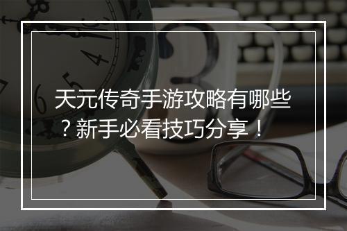 天元传奇手游攻略有哪些？新手必看技巧分享！