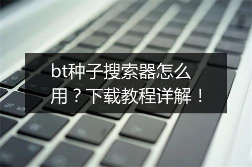 bt种子搜索器怎么用？下载教程详解！