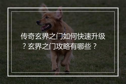 传奇玄界之门如何快速升级？玄界之门攻略有哪些？