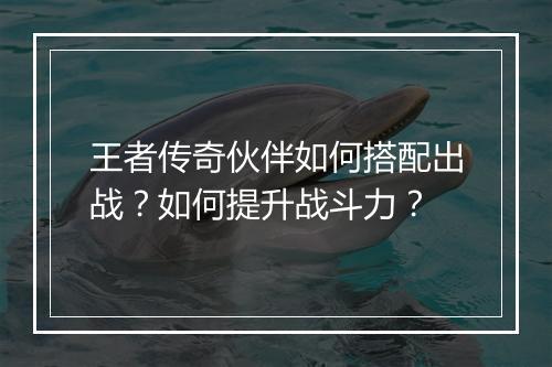 王者传奇伙伴如何搭配出战？如何提升战斗力？