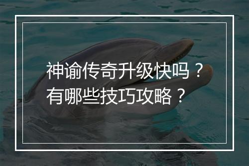 神谕传奇升级快吗？有哪些技巧攻略？