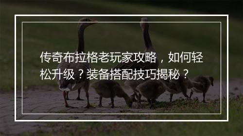 传奇布拉格老玩家攻略，如何轻松升级？装备搭配技巧揭秘？