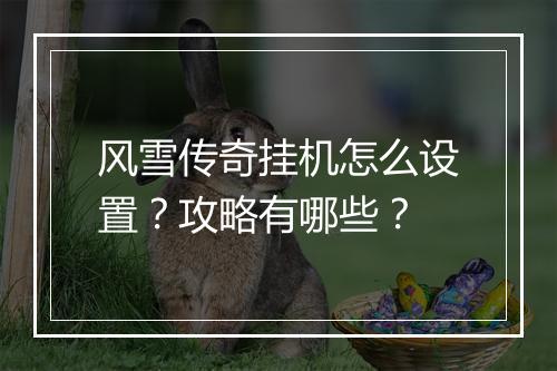 风雪传奇挂机怎么设置？攻略有哪些？