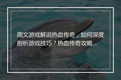周文游戏解说热血传奇，如何深度剖析游戏技巧？热血传奇攻略分享！