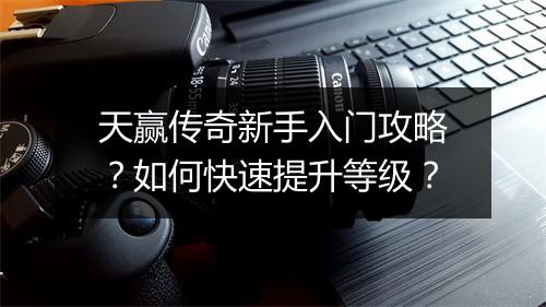 天赢传奇新手入门攻略？如何快速提升等级？