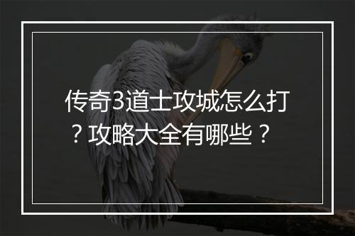 传奇3道士攻城怎么打？攻略大全有哪些？