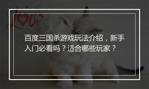 百度三国杀游戏玩法介绍，新手入门必看吗？适合哪些玩家？