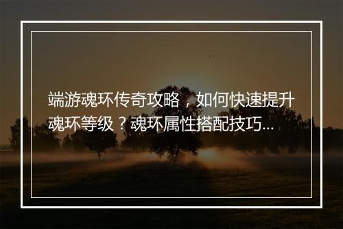 端游魂环传奇攻略，如何快速提升魂环等级？魂环属性搭配技巧揭秘？