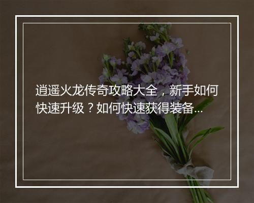 逍遥火龙传奇攻略大全，新手如何快速升级？如何快速获得装备？