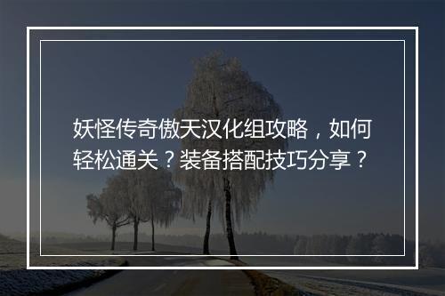 妖怪传奇傲天汉化组攻略，如何轻松通关？装备搭配技巧分享？