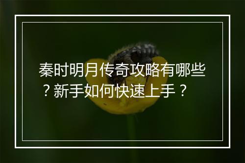 秦时明月传奇攻略有哪些？新手如何快速上手？