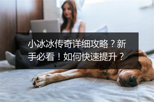 小冰冰传奇详细攻略？新手必看！如何快速提升？