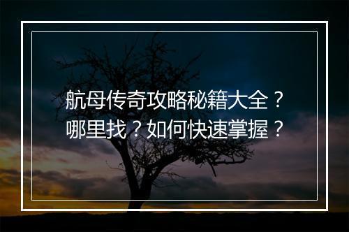 航母传奇攻略秘籍大全？哪里找？如何快速掌握？