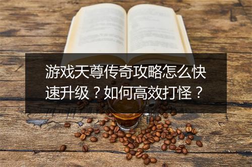 游戏天尊传奇攻略怎么快速升级？如何高效打怪？