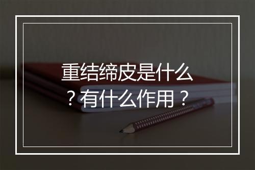 重结缔皮是什么？有什么作用？