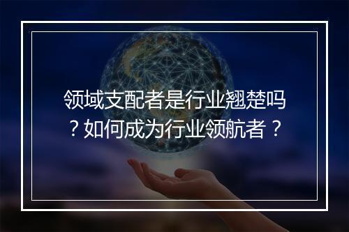 领域支配者是行业翘楚吗？如何成为行业领航者？
