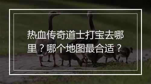 热血传奇道士打宝去哪里？哪个地图最合适？