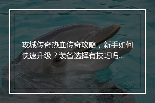 攻城传奇热血传奇攻略，新手如何快速升级？装备选择有技巧吗？