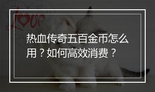 热血传奇五百金币怎么用？如何高效消费？