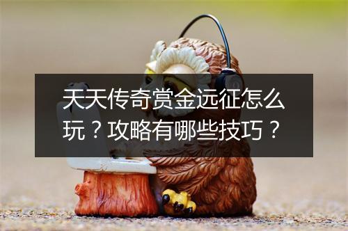 天天传奇赏金远征怎么玩？攻略有哪些技巧？