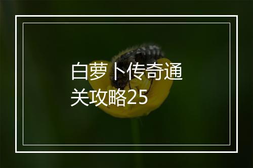 白萝卜传奇通关攻略25