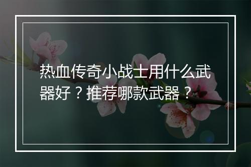 热血传奇小战士用什么武器好？推荐哪款武器？