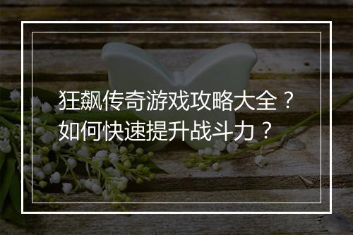 狂飙传奇游戏攻略大全？如何快速提升战斗力？