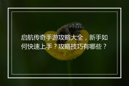 启航传奇手游攻略大全，新手如何快速上手？攻略技巧有哪些？