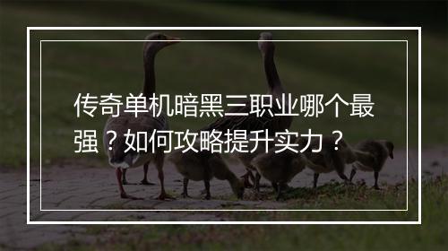 传奇单机暗黑三职业哪个最强？如何攻略提升实力？