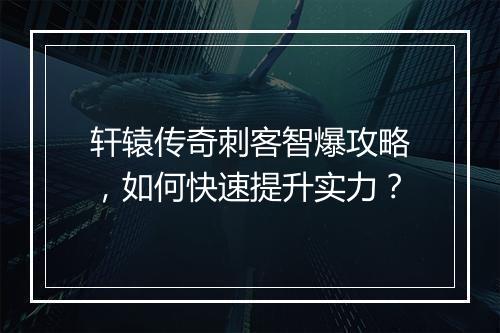 轩辕传奇刺客智爆攻略，如何快速提升实力？