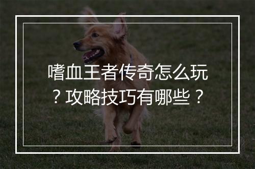嗜血王者传奇怎么玩？攻略技巧有哪些？
