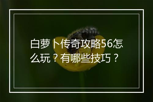 白萝卜传奇攻略56怎么玩？有哪些技巧？