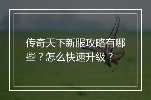 传奇天下新服攻略有哪些？怎么快速升级？
