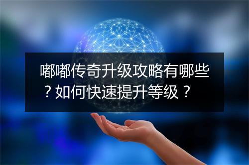 嘟嘟传奇升级攻略有哪些？如何快速提升等级？
