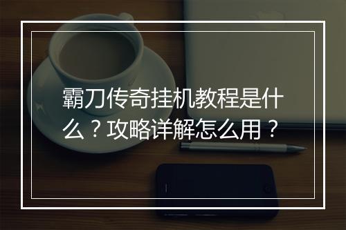 霸刀传奇挂机教程是什么？攻略详解怎么用？