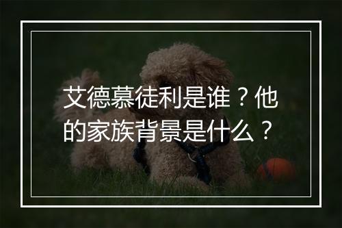 艾德慕徒利是谁？他的家族背景是什么？
