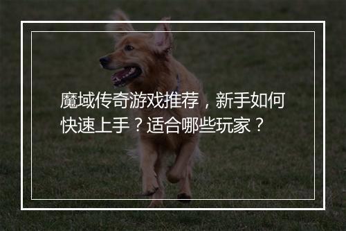 魔域传奇游戏推荐，新手如何快速上手？适合哪些玩家？