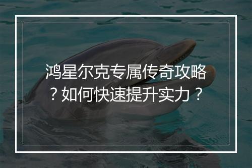 鸿星尔克专属传奇攻略？如何快速提升实力？
