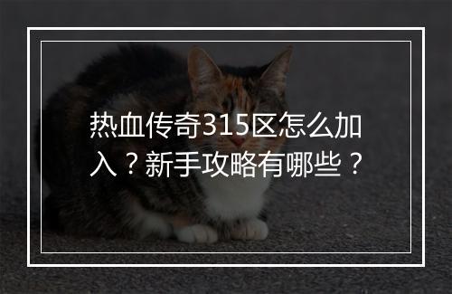 热血传奇315区怎么加入？新手攻略有哪些？