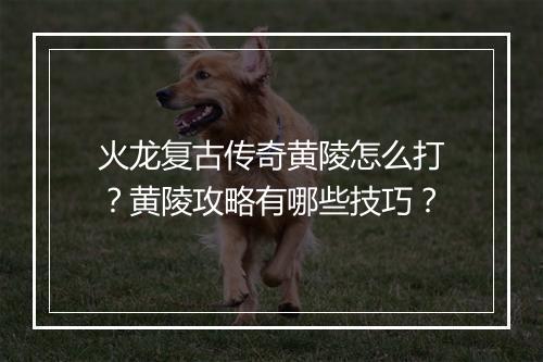 火龙复古传奇黄陵怎么打？黄陵攻略有哪些技巧？